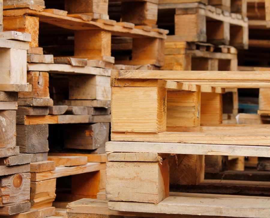 como saber si la madera de una palet está podrida y cómo tratatarla